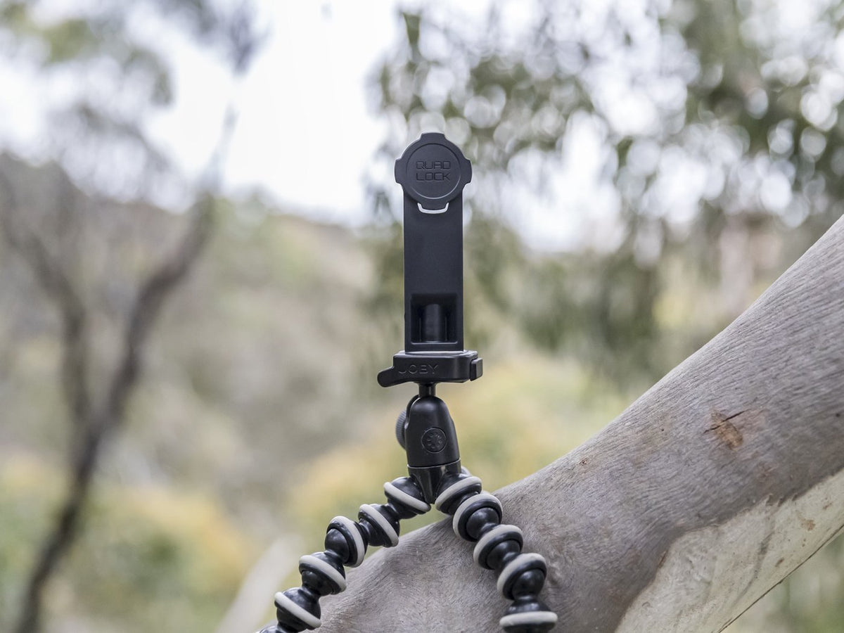 quad lock tripod adaptor on tripod and tree
